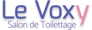 logo salon Voxy toilettage chien